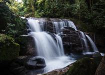 <p> There is not much there around Ubatuba. There is the </i> Mata Atlantica <i> rainforest... </p>